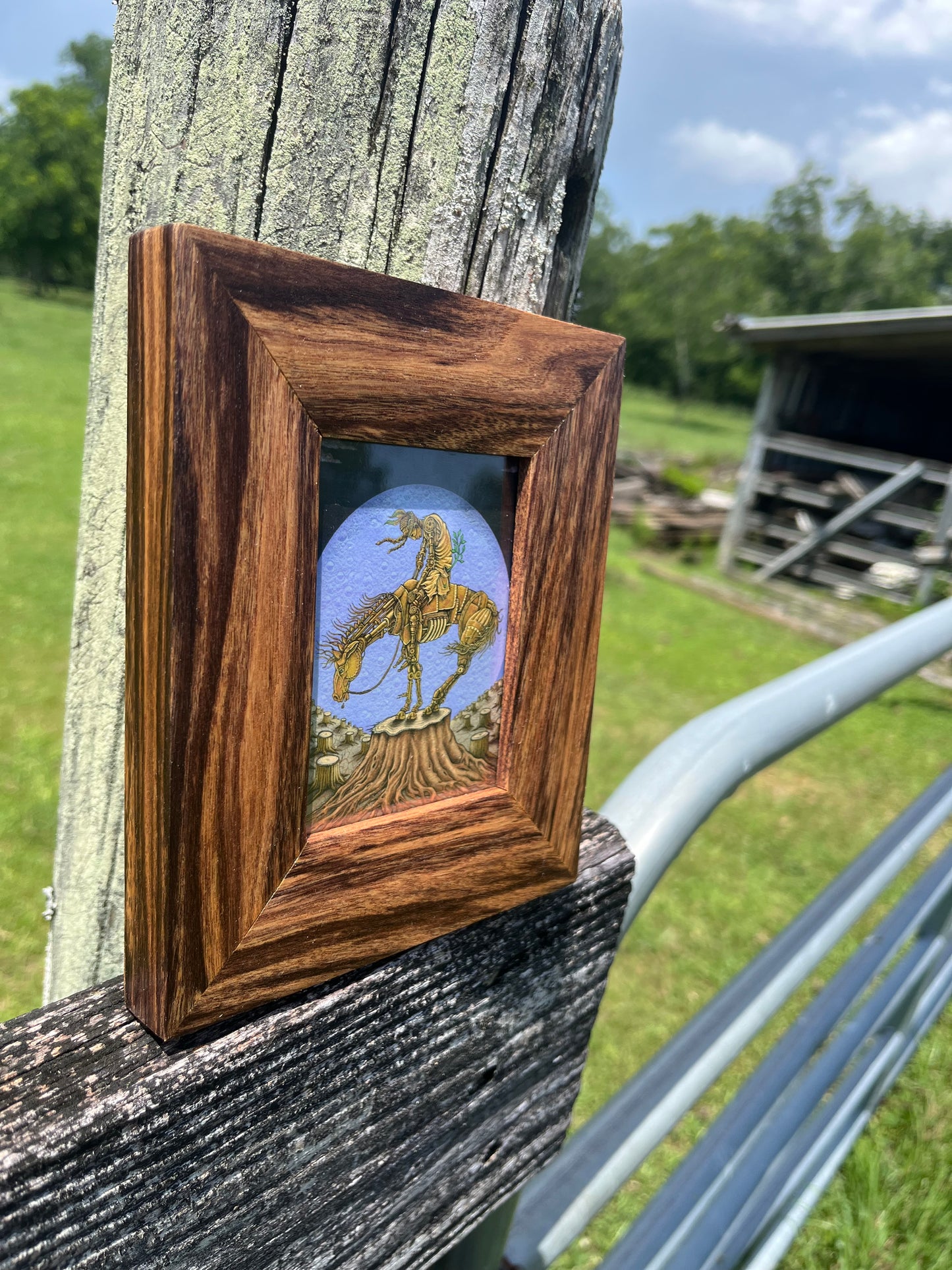 3x4 Patagonian Rosewood Frame-Up
