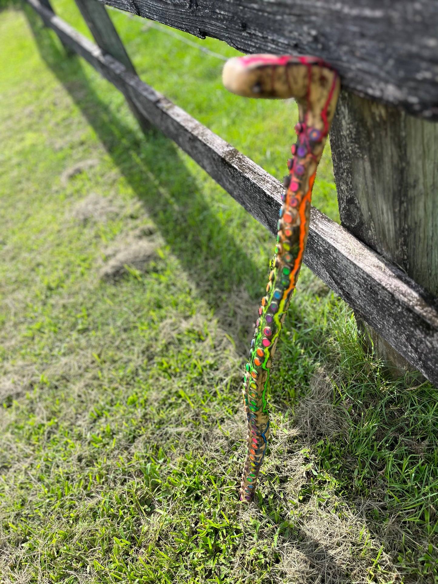 33” Blazin’ Octo Walking Stick/Cane