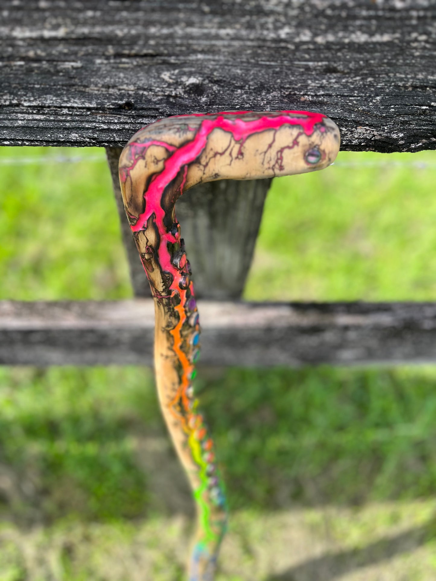 33” Blazin’ Octo Walking Stick/Cane