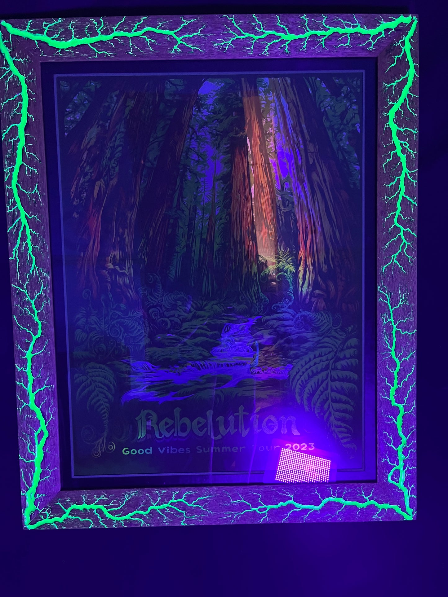20x26 Blazin’ Rebelution Stained White Limba w/green. Print included