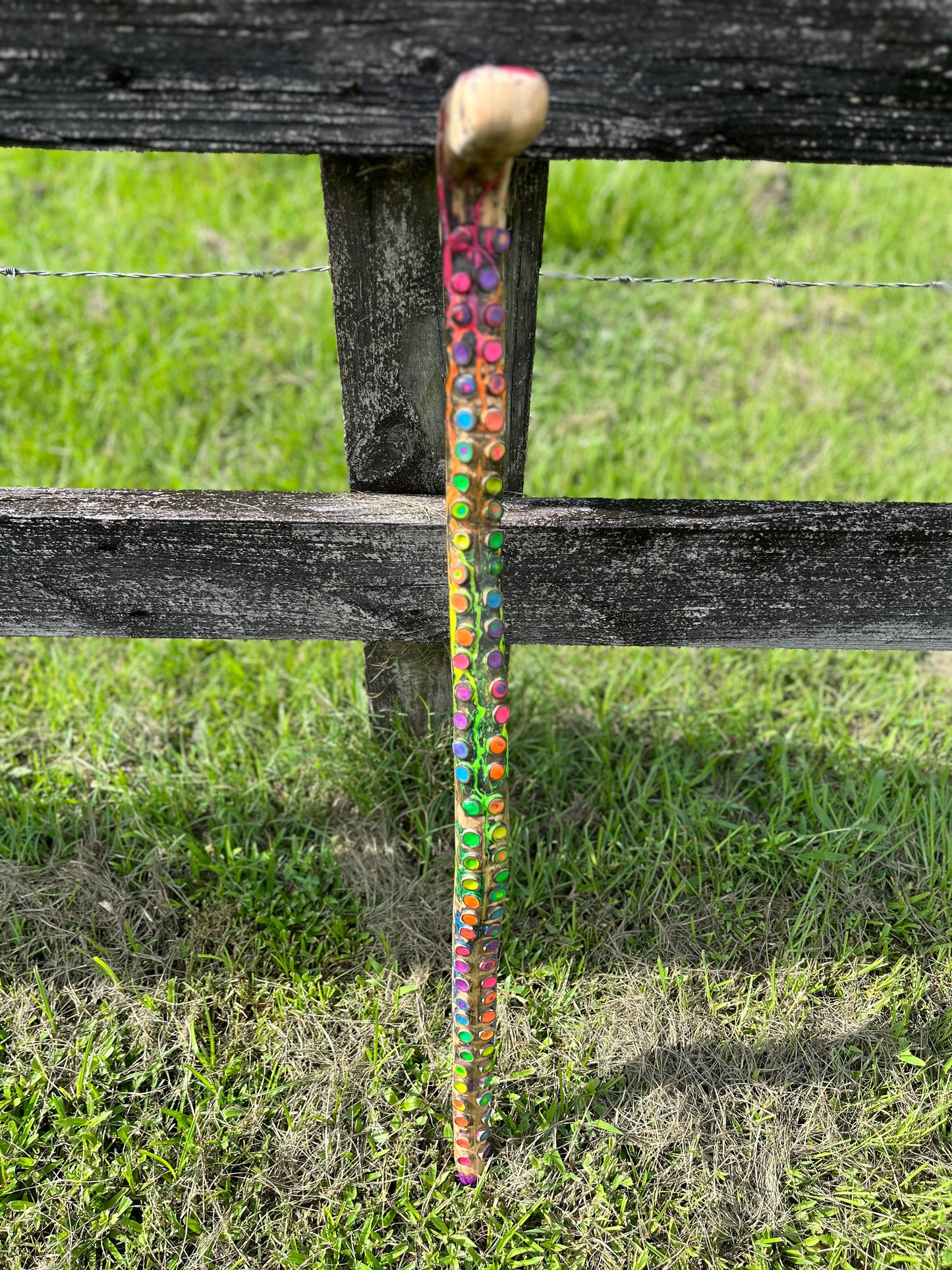 33” Blazin’ Octo Walking Stick/Cane