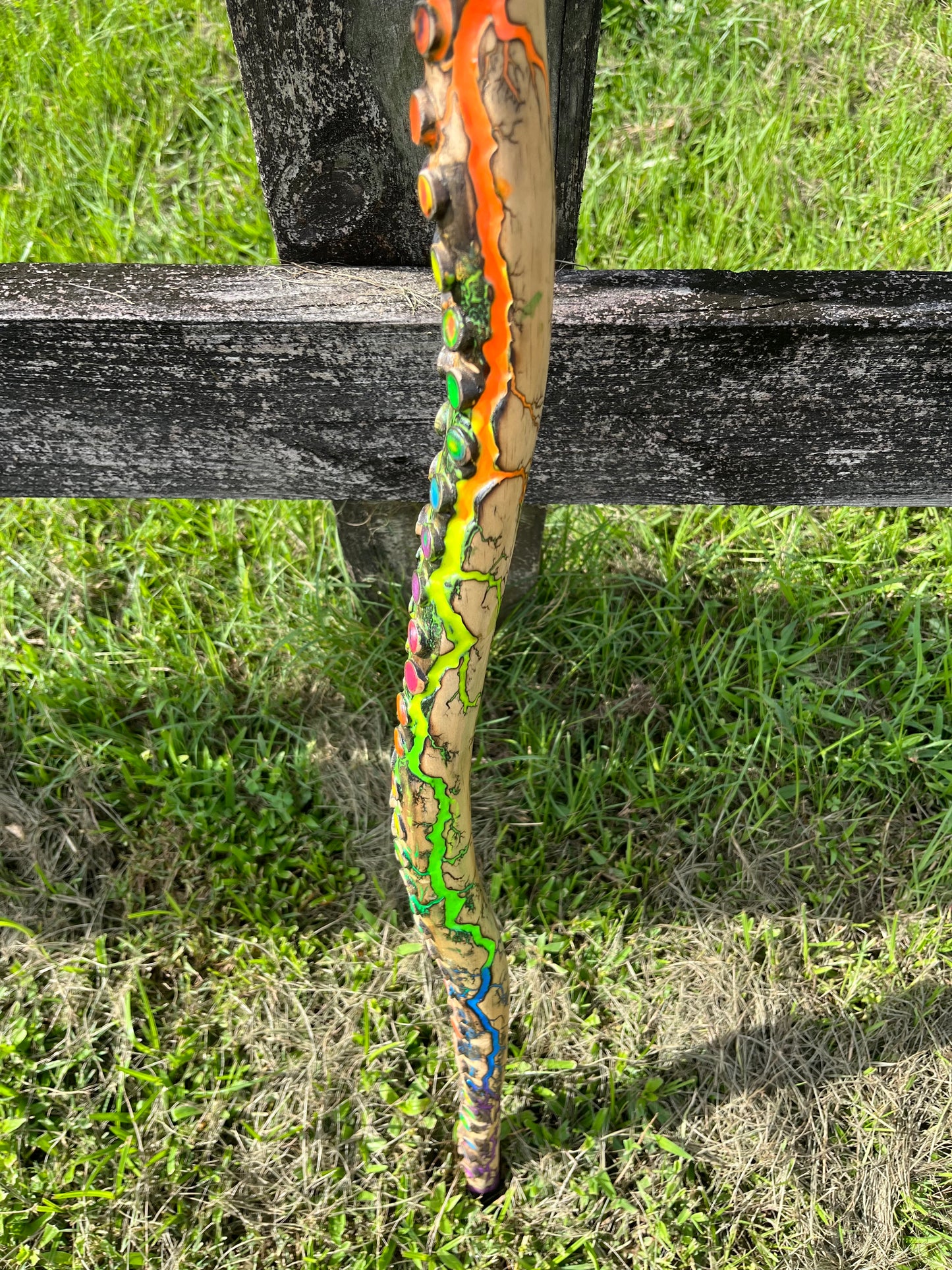 33” Blazin’ Octo Walking Stick/Cane