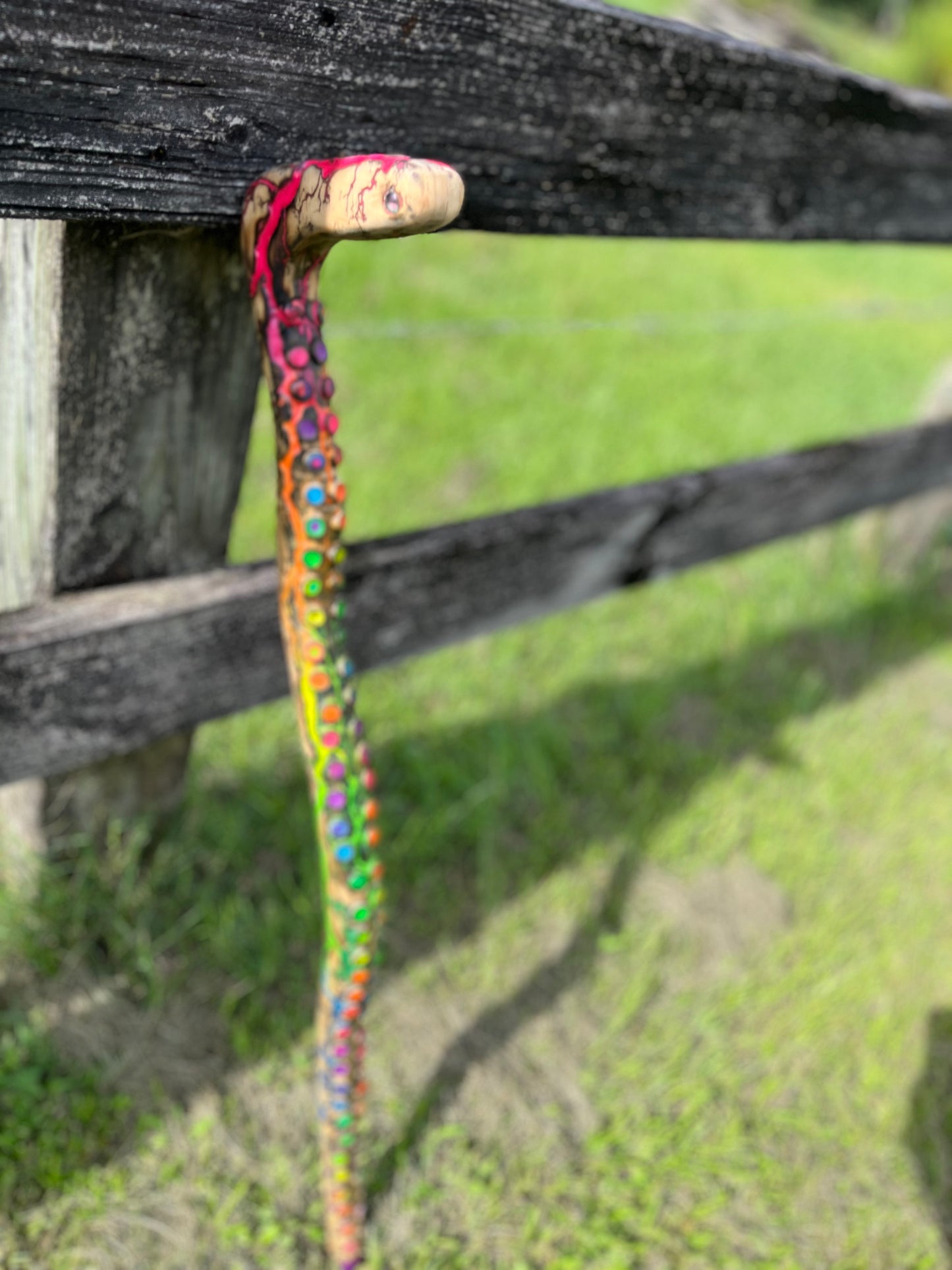 33” Blazin’ Octo Walking Stick/Cane