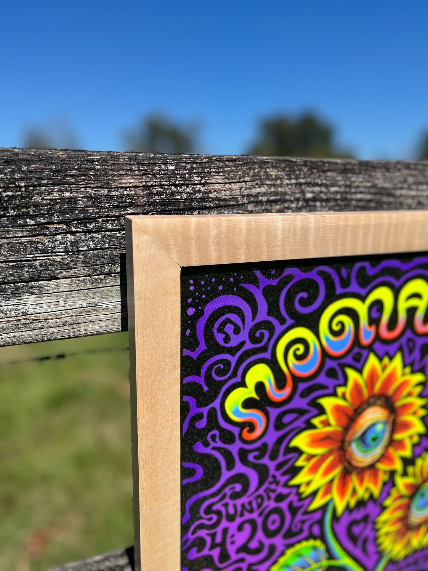 The Unburnt Blazin’ Slim 18x24 Curly Maple