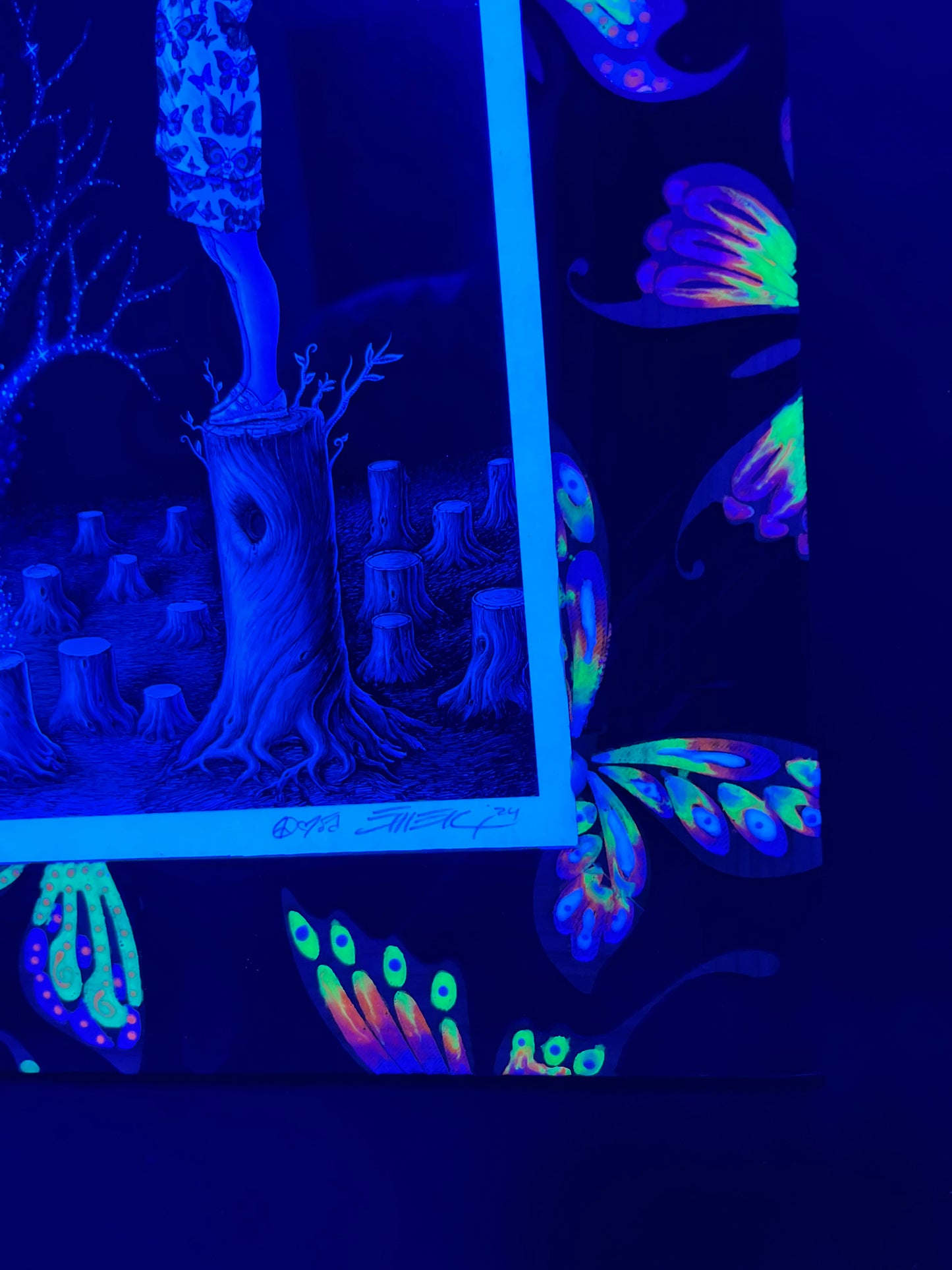 8x10 UV/Glow 🦋 Frame Only ( Made to Order, allow 4-6 Weeks for completion & shipping)6-8 during the Holidays