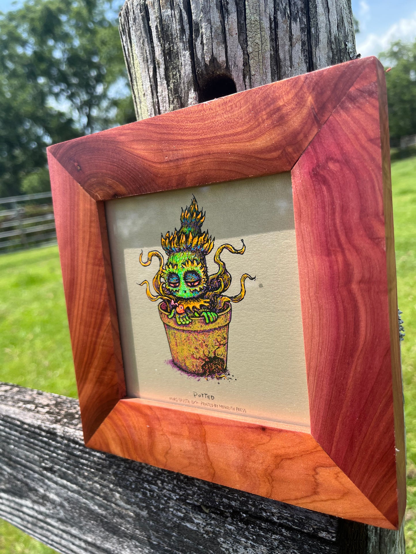 5x5 Blazin’ Spusta Frame-Up