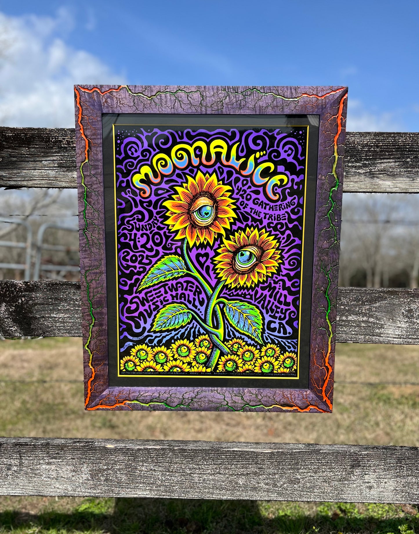 Moonalice Purple Curly