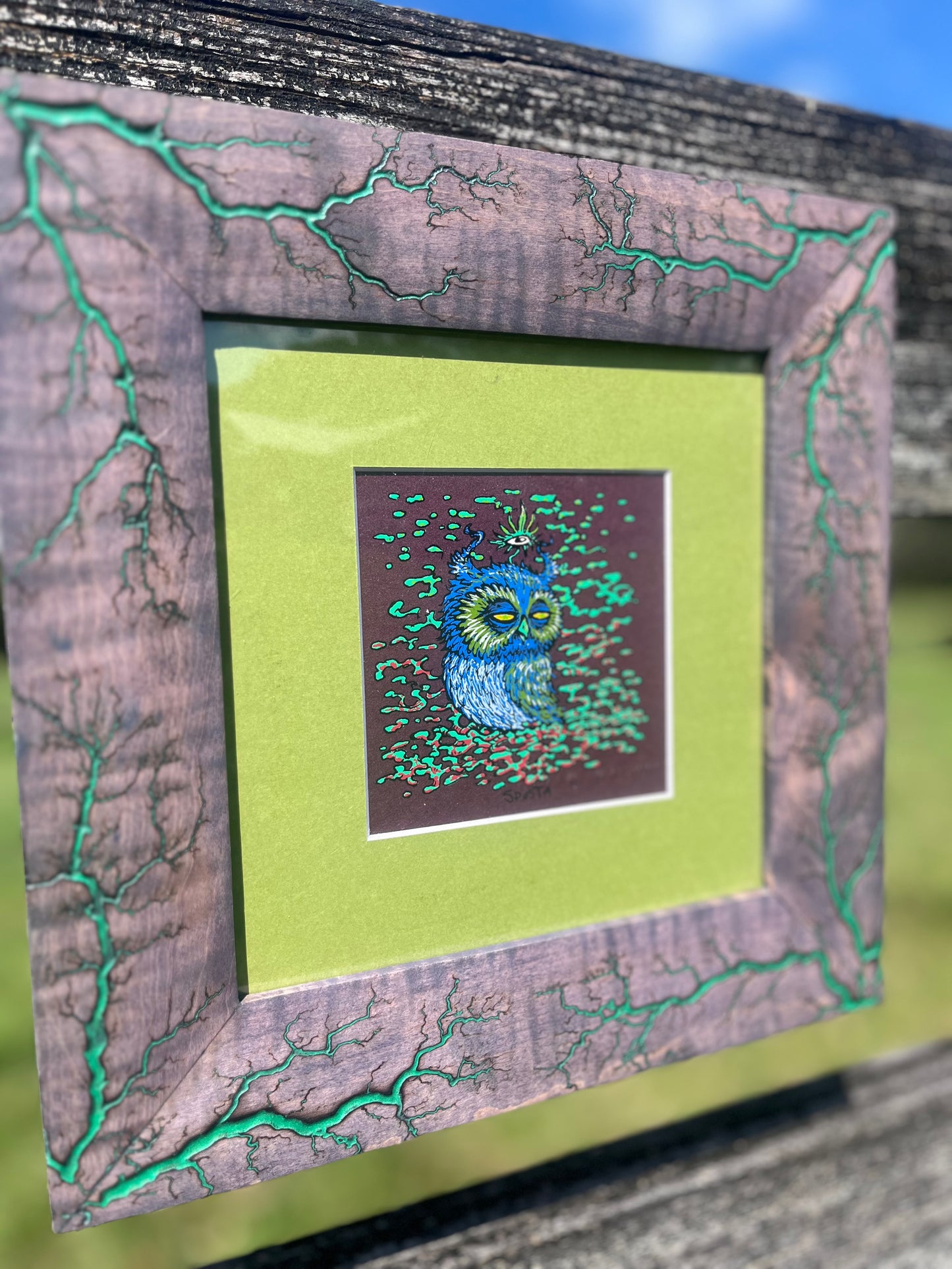 Spusta owl Frame-Up