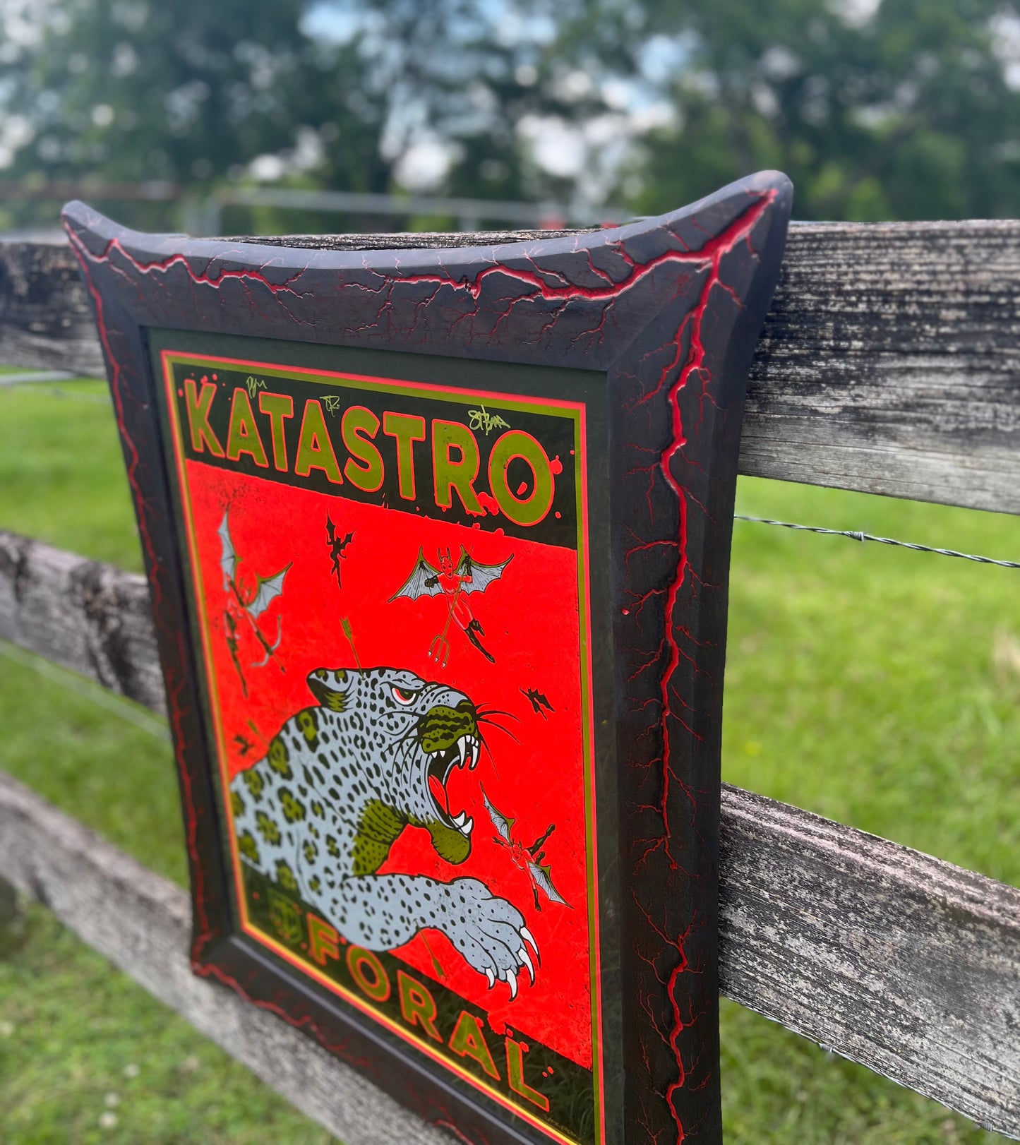 Katastro winged walnut