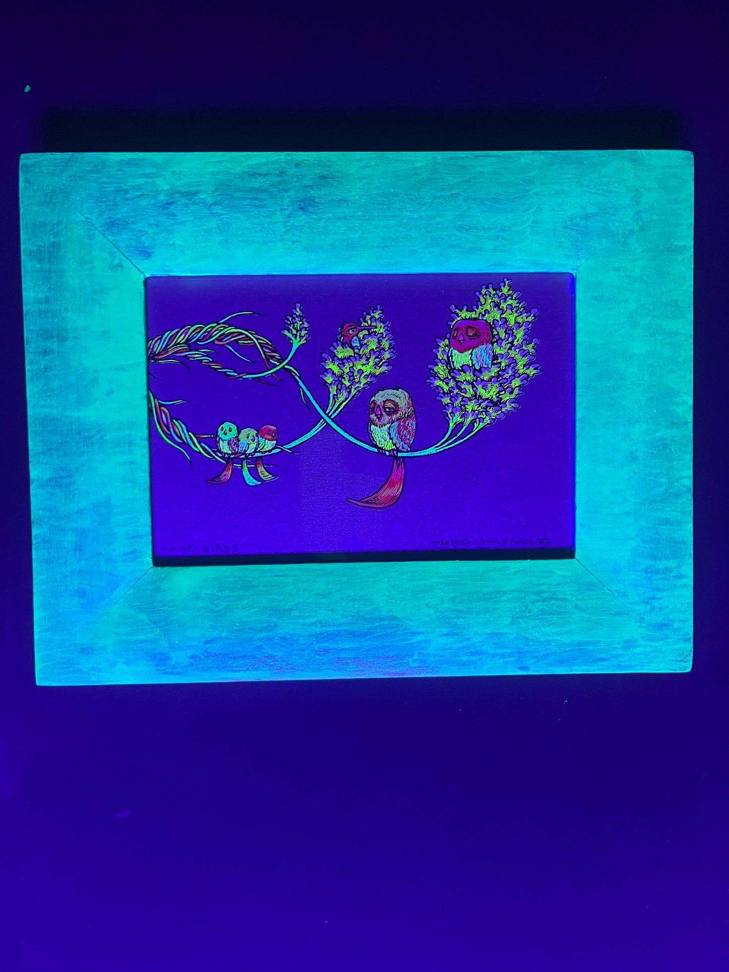 Blazin’ Spusta Frame-Up(5x7)