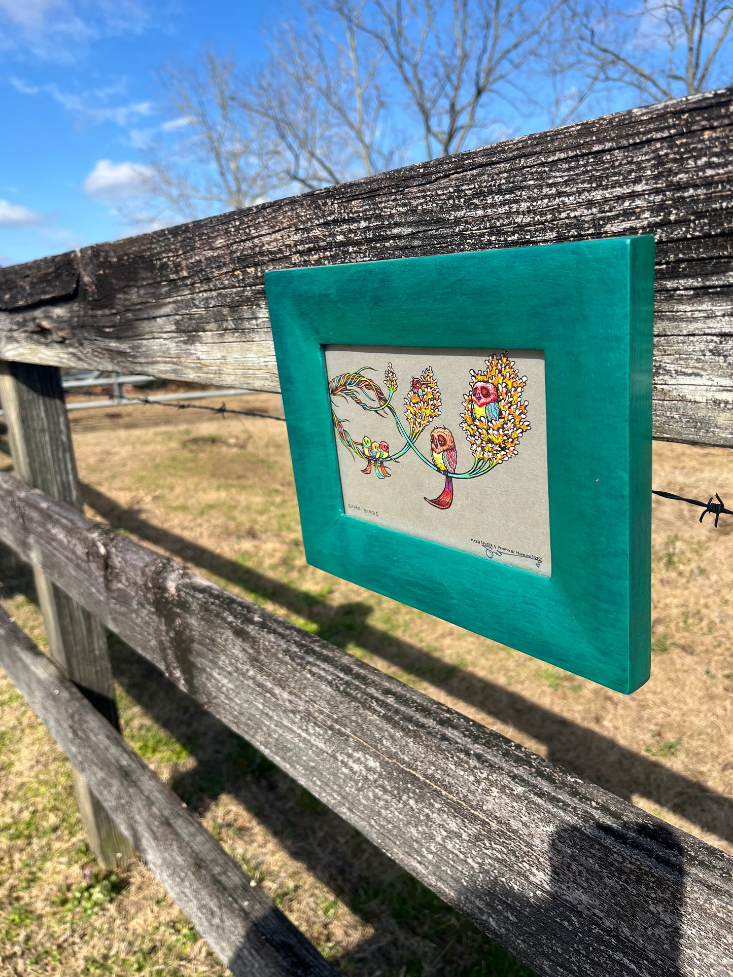Blazin’ Spusta Frame-Up(5x7)