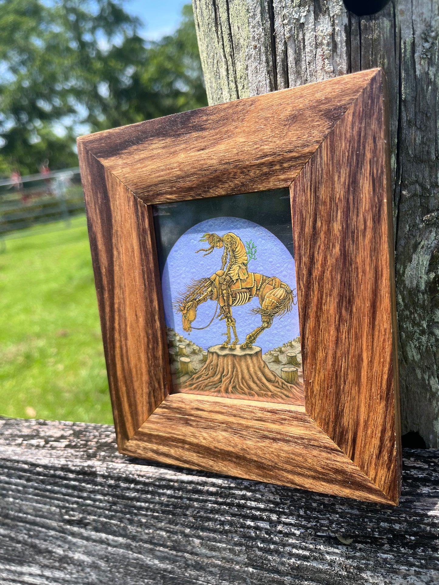 3x4 Patagonian Rosewood Frame-Up