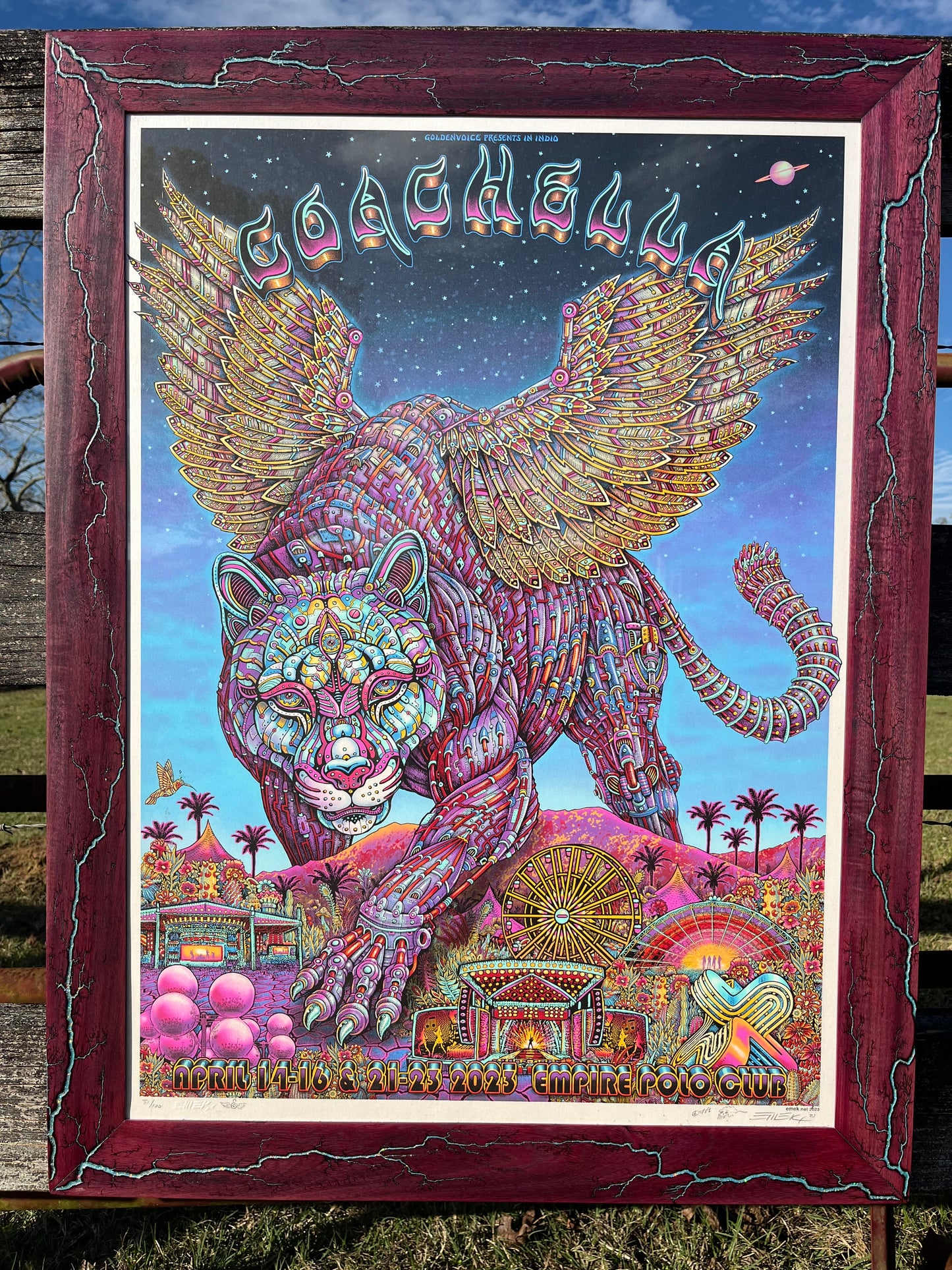 Framed Emek Coachella