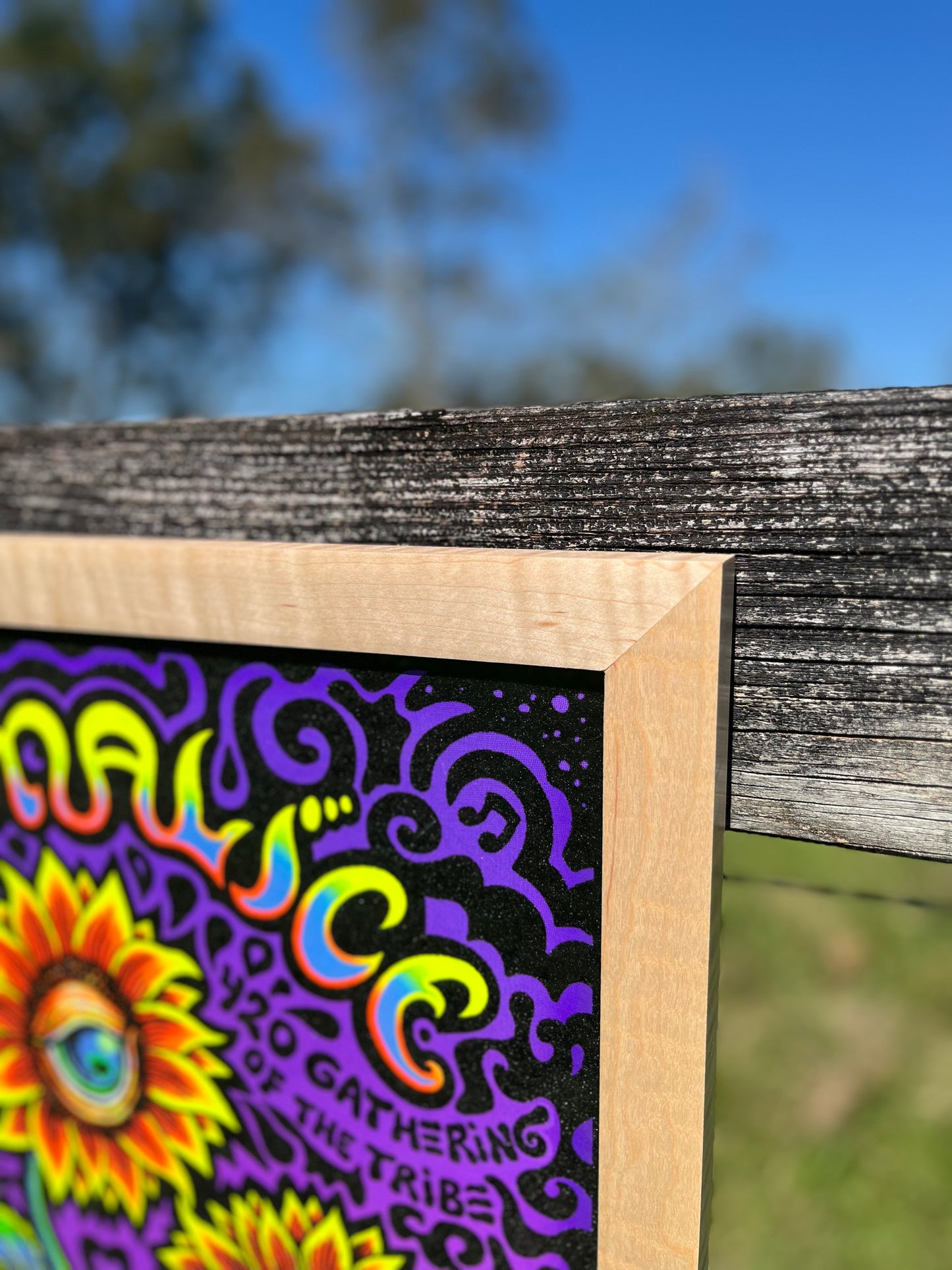 The Unburnt Blazin’ Slim 18x24 Curly Maple