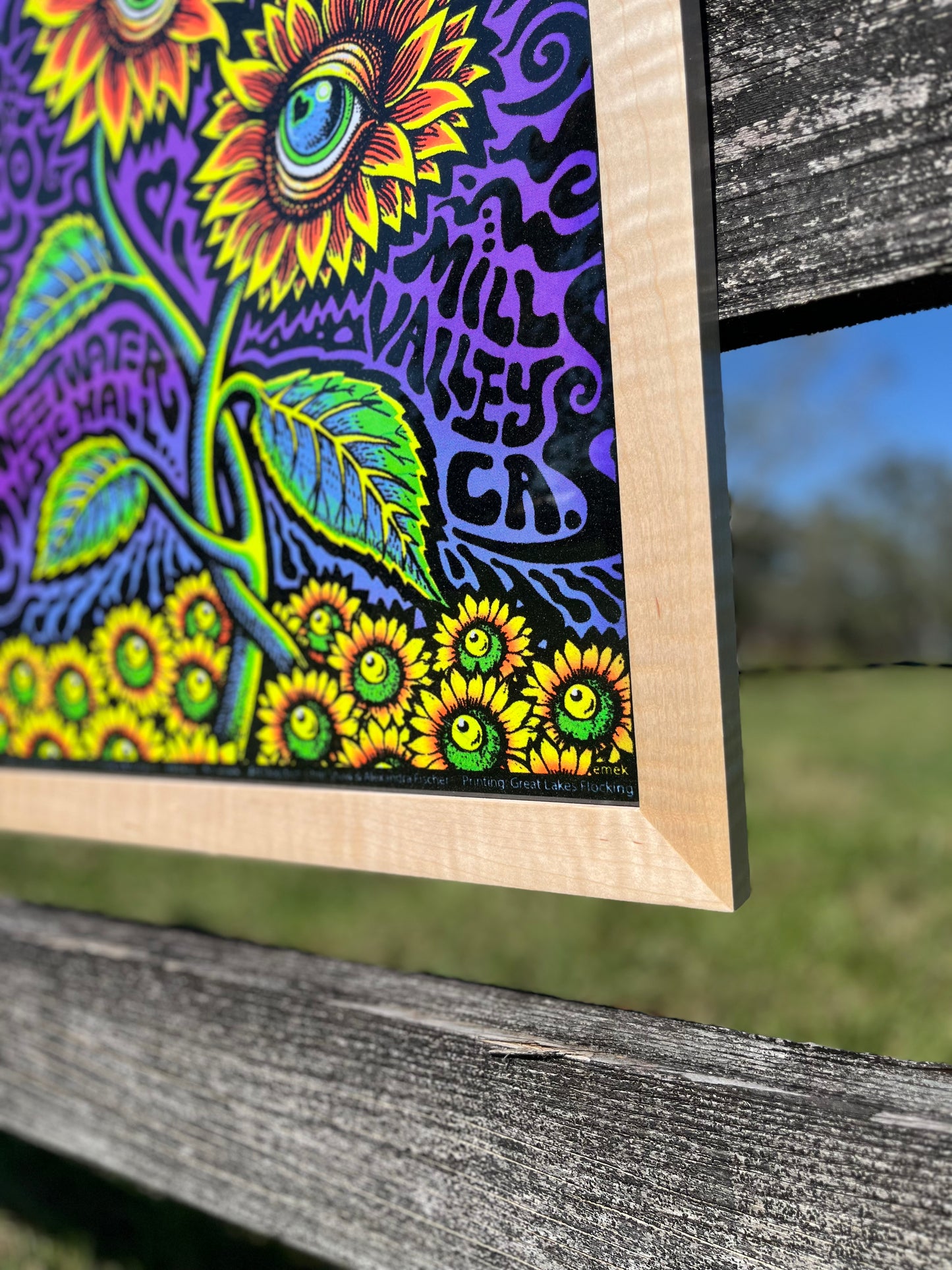 The Unburnt Blazin’ Slim 18x24 Curly Maple