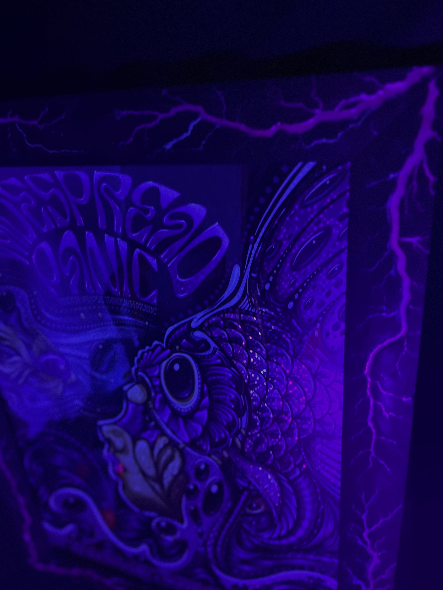 18x24 Blazin’ Frame-Up  Nogal(black) purple/blue color fill and glow.          Jeff Wood Widespread Panic Print
