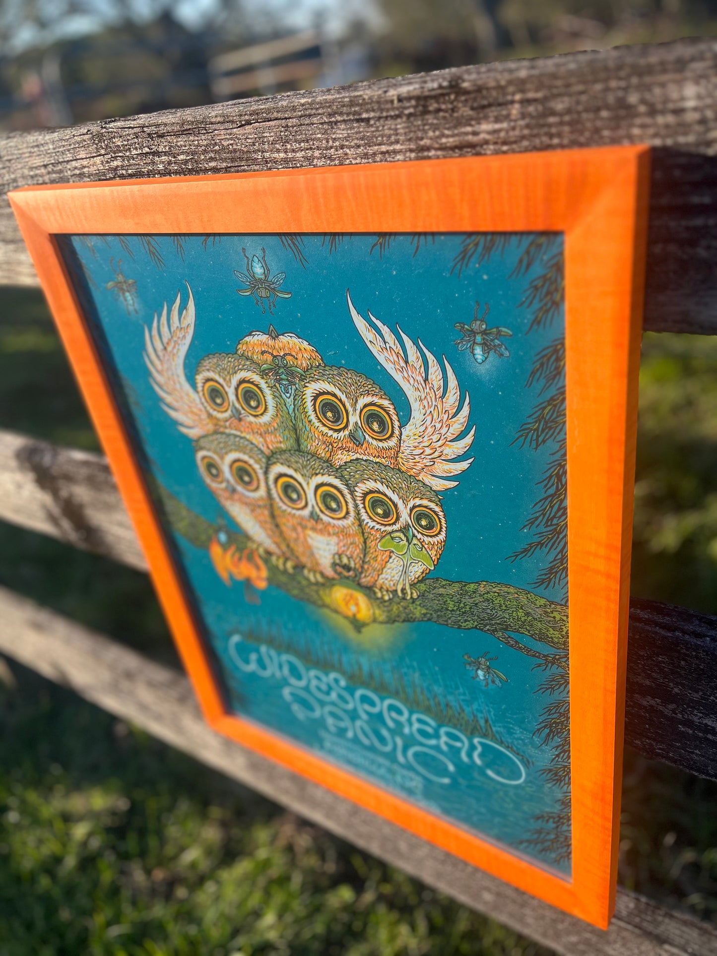 18x24 Slim Stained Curly Maple(unburnt)