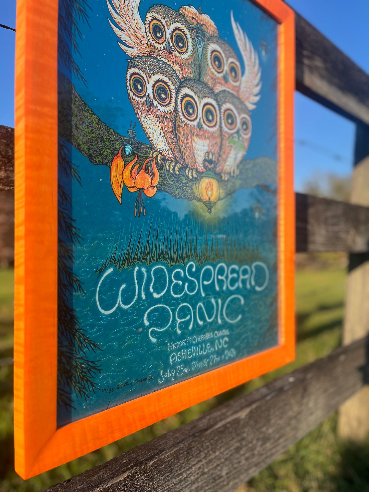 18x24 Slim Stained Curly Maple(unburnt)