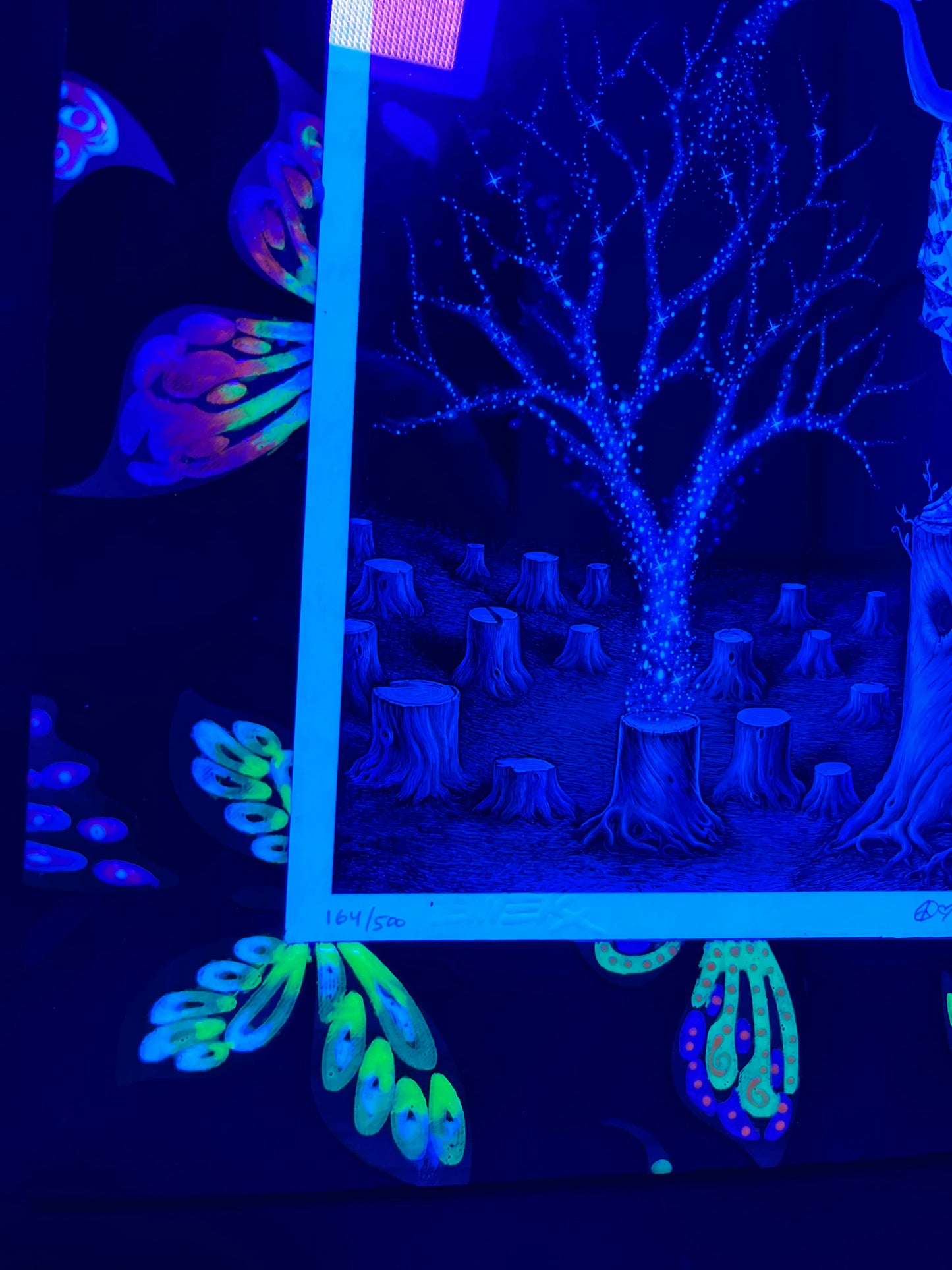 8x10 UV/Glow 🦋 Frame Only ( Made to Order, allow 4-6 Weeks for completion & shipping)6-8 during the Holidays