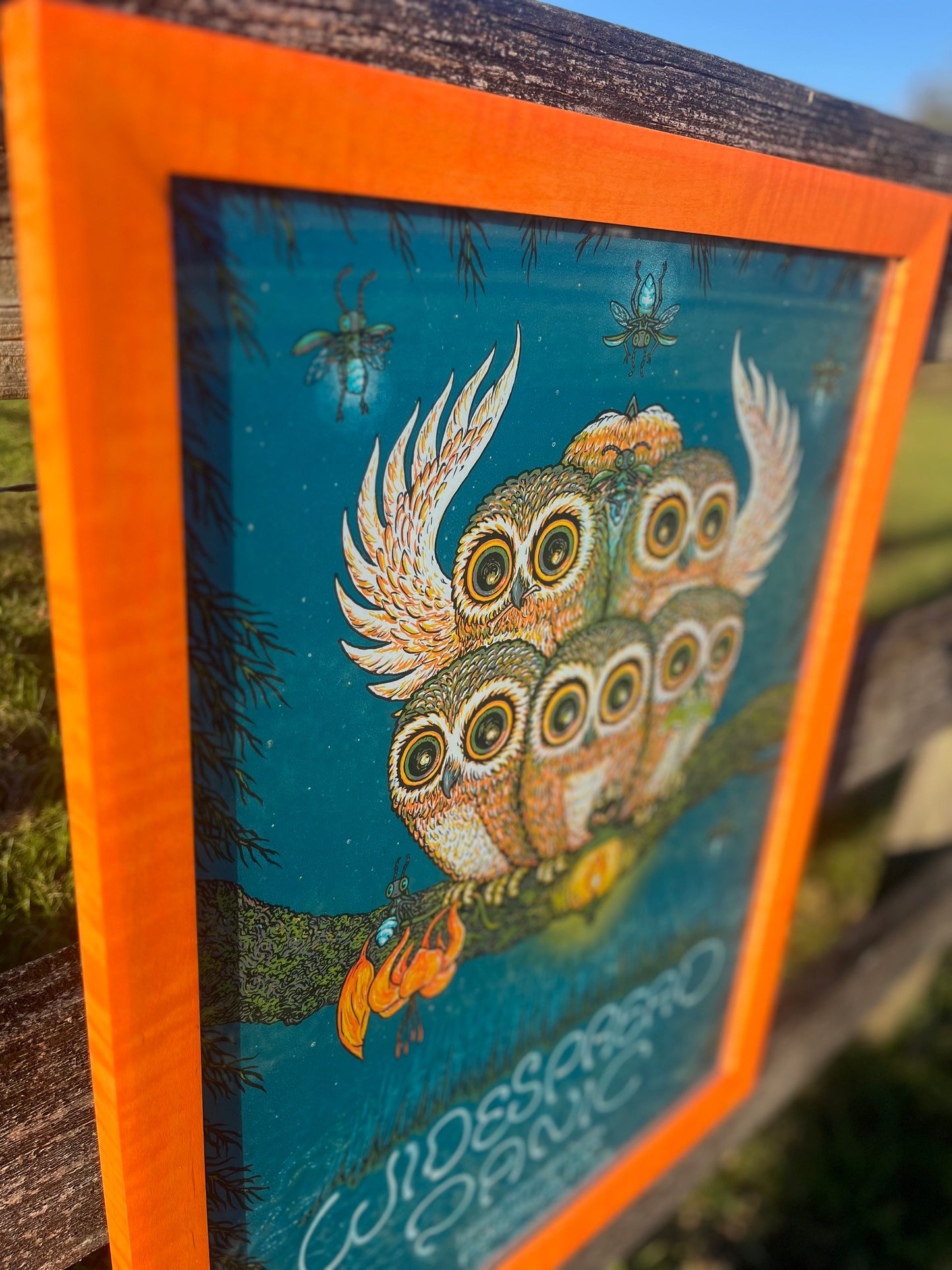 18x24 Slim Stained Curly Maple(unburnt)