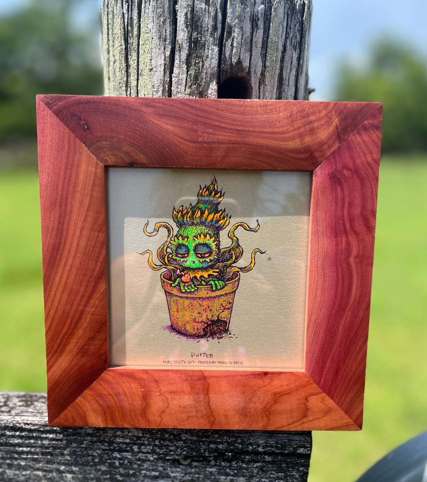 5x5 Blazin’ Spusta Frame-Up