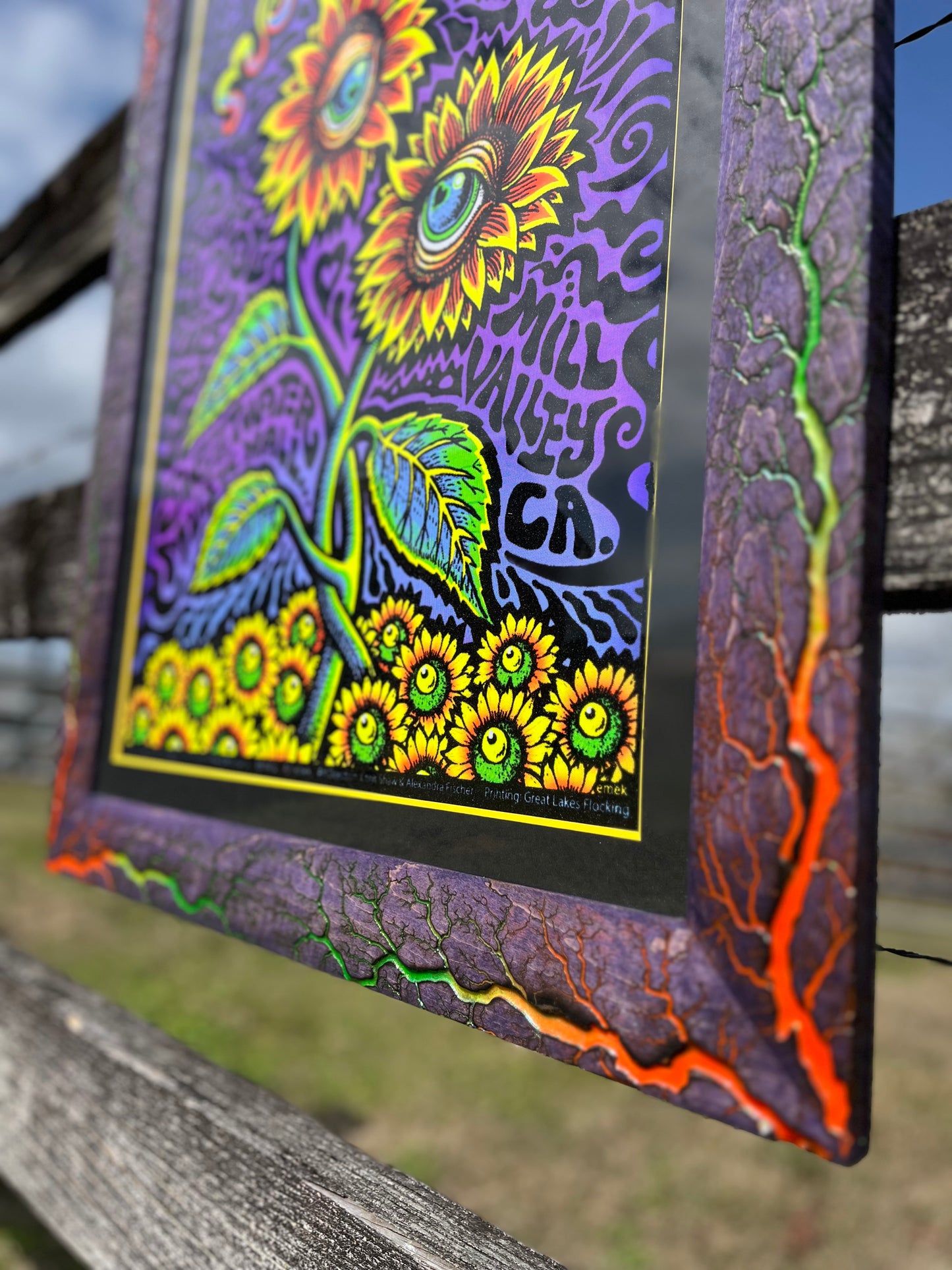 Moonalice Purple Curly