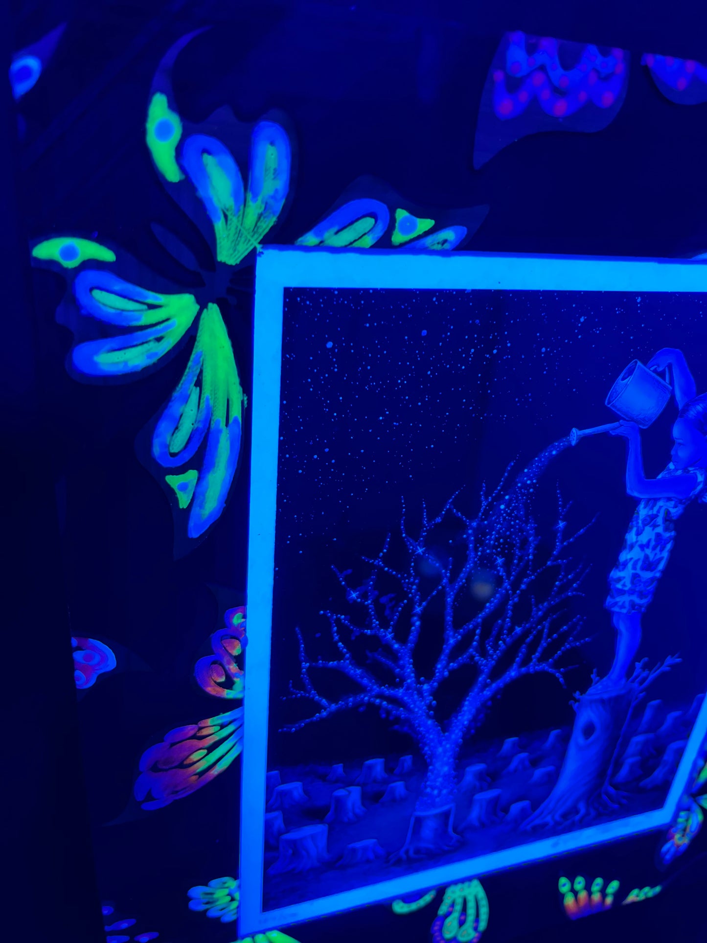 8x10 UV/Glow 🦋 Frame Only ( Made to Order, allow 4-6 Weeks for completion & shipping)6-8 during the Holidays