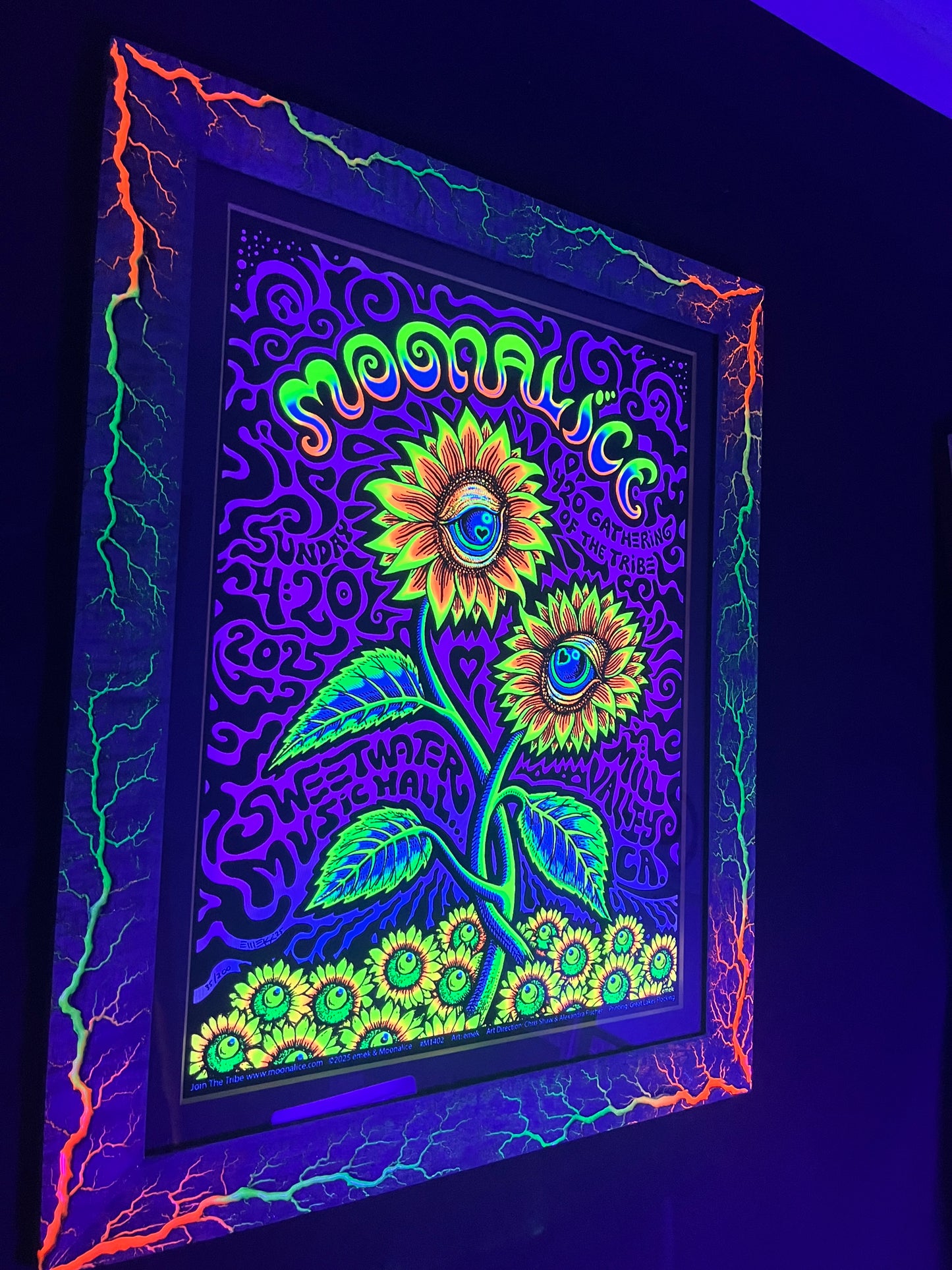 Moonalice Purple Curly