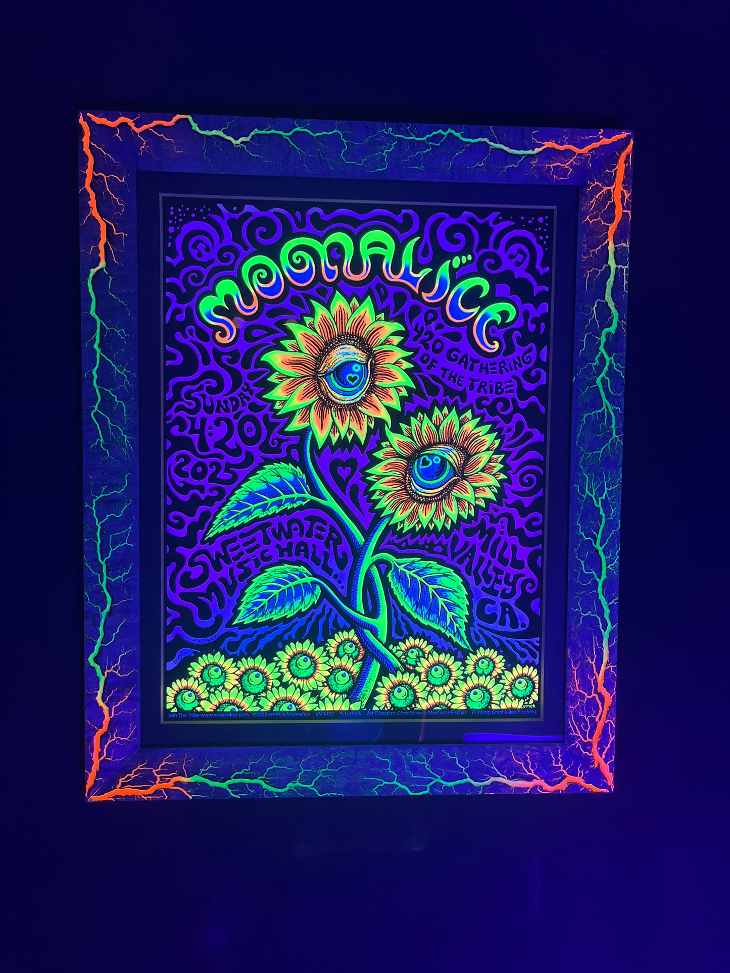 Moonalice Purple Curly