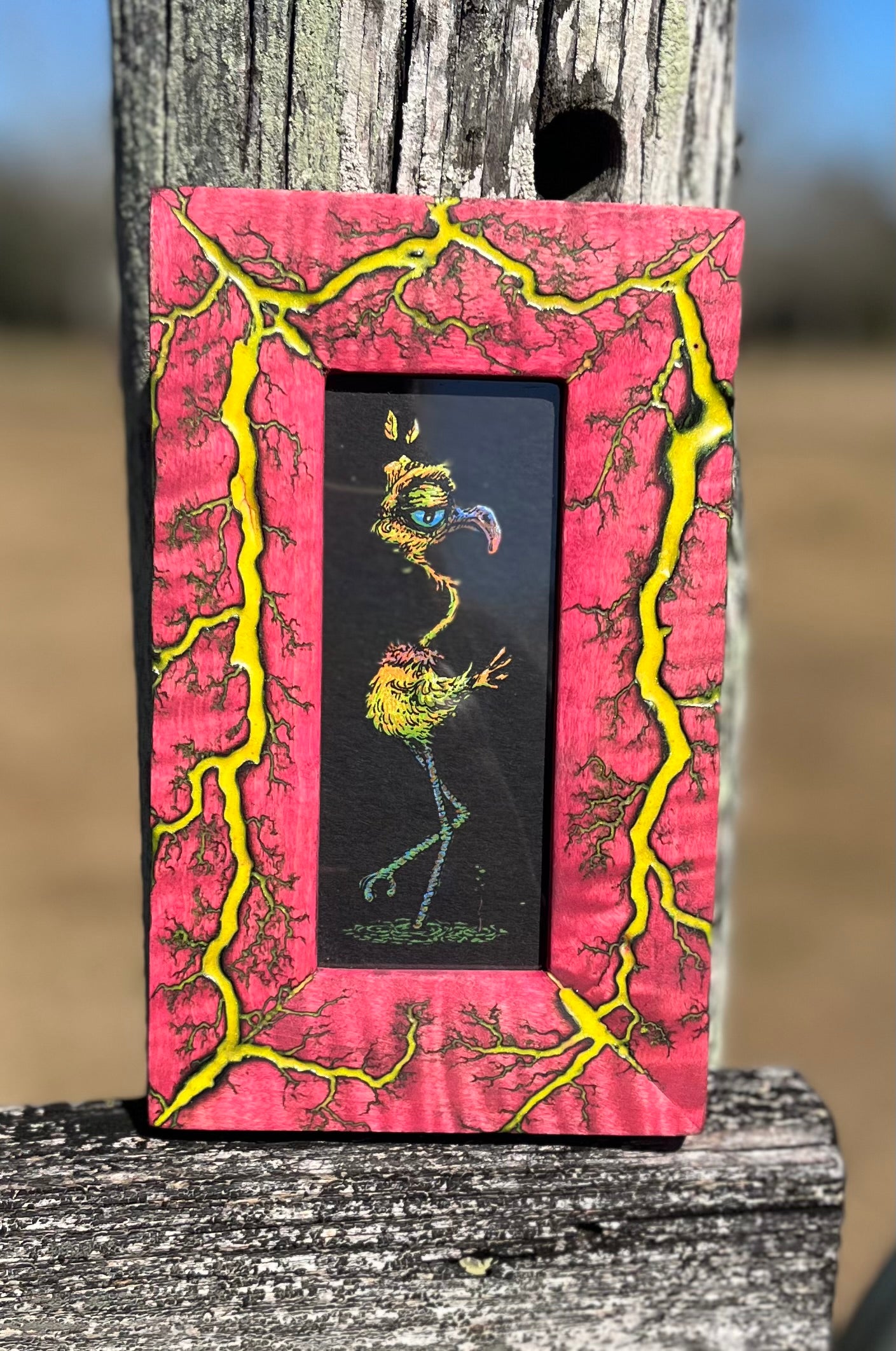 Blazin’ Spusta Frame-Up(2x5)