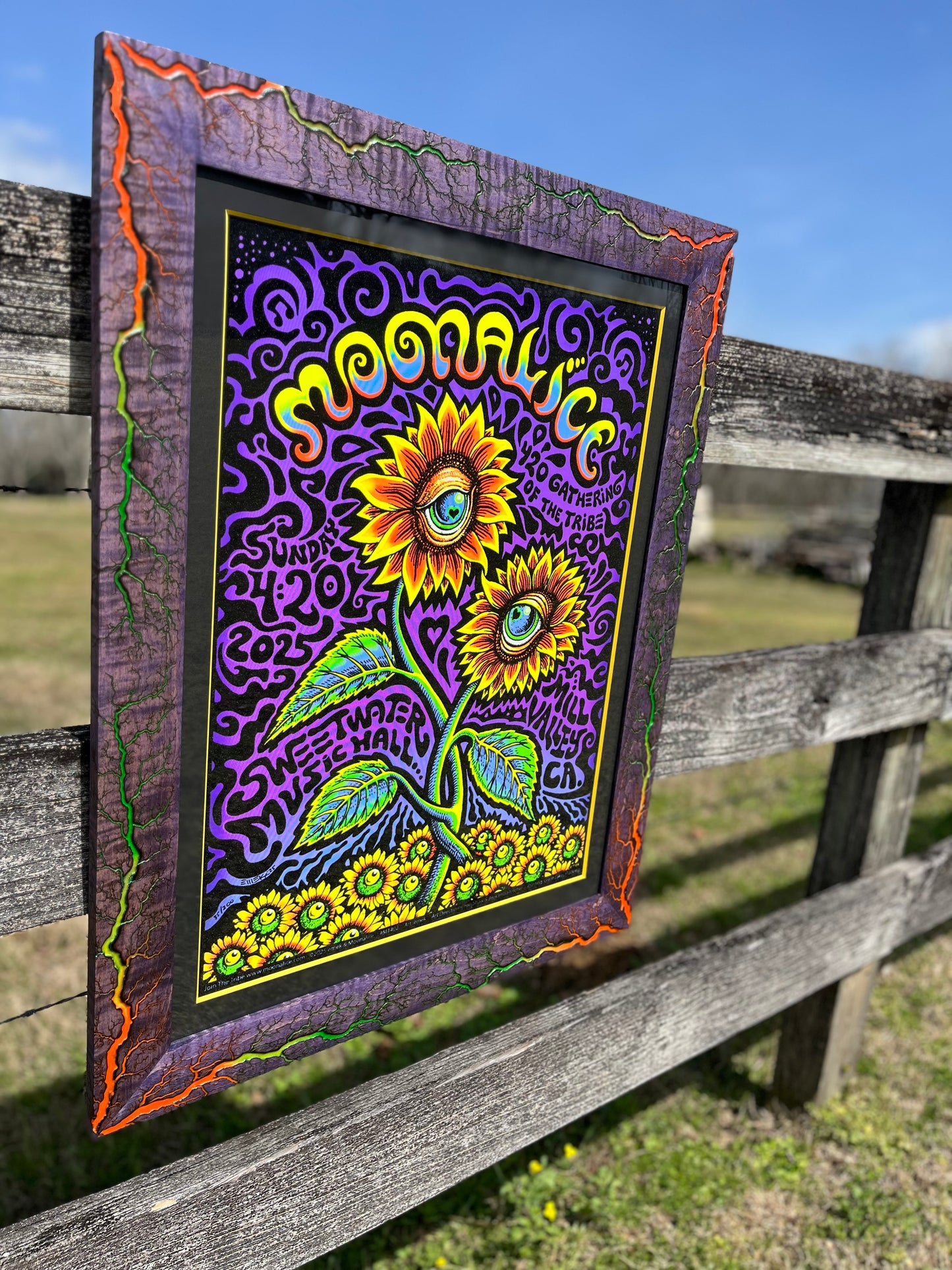 Moonalice Purple Curly