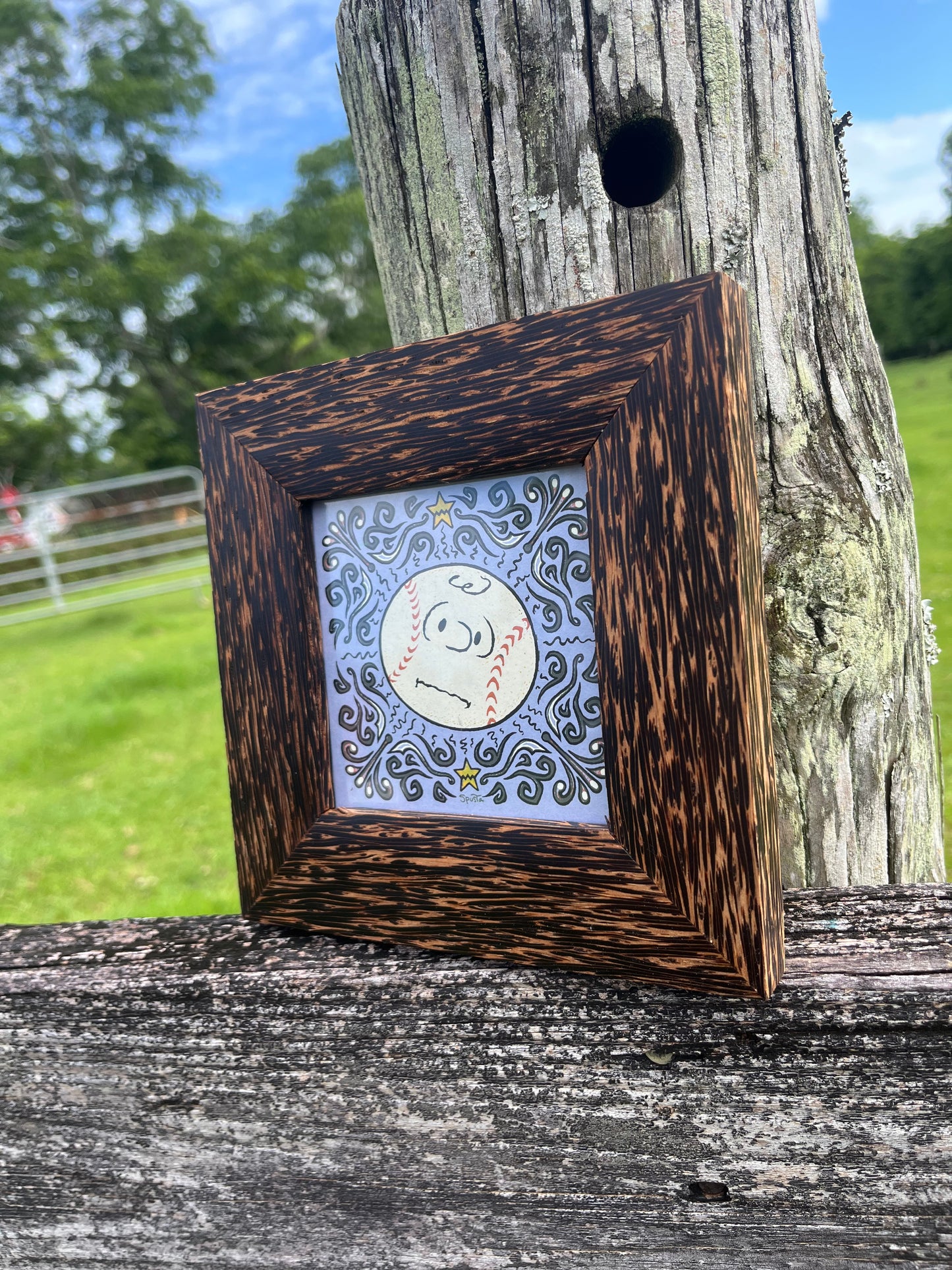 4x4 Black Palm Frame Only