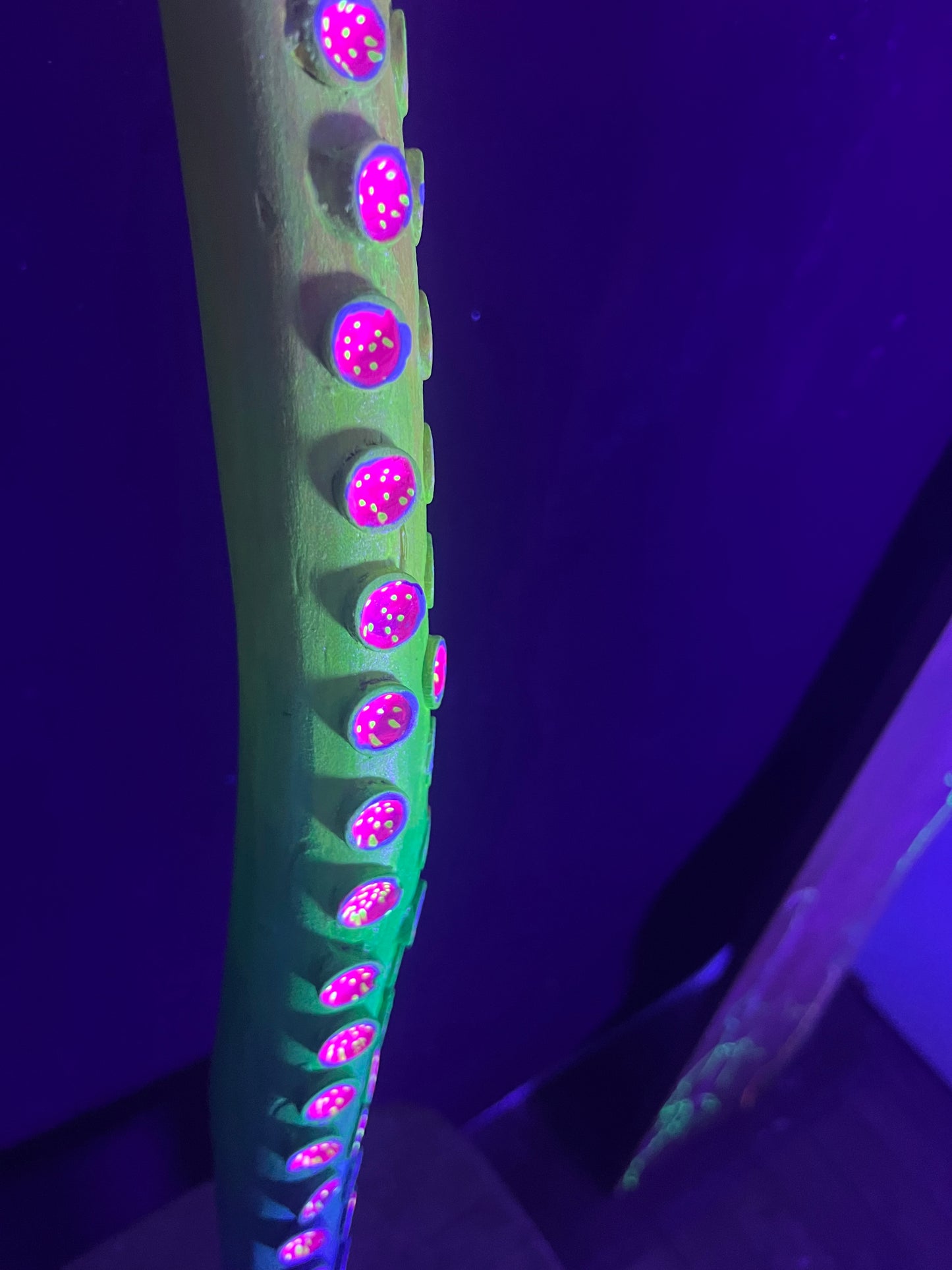 36” Blazin’ Cane