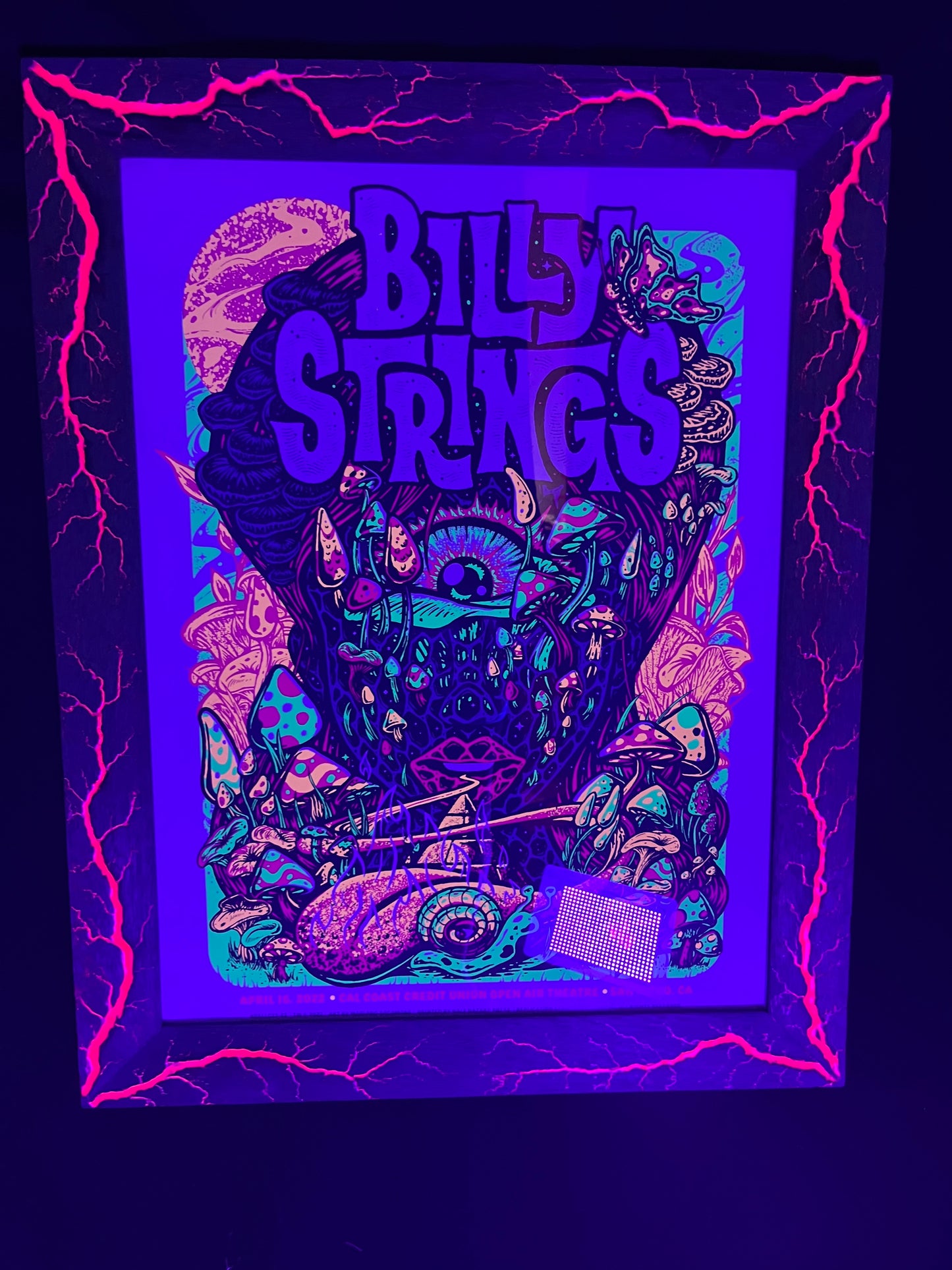 18x24 Blazin’ Billy.     Greenish stained White Limba W/pink. Billy String print included