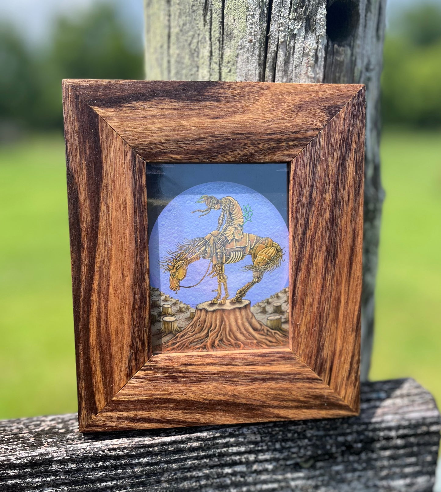 3x4 Patagonian Rosewood Frame-Up