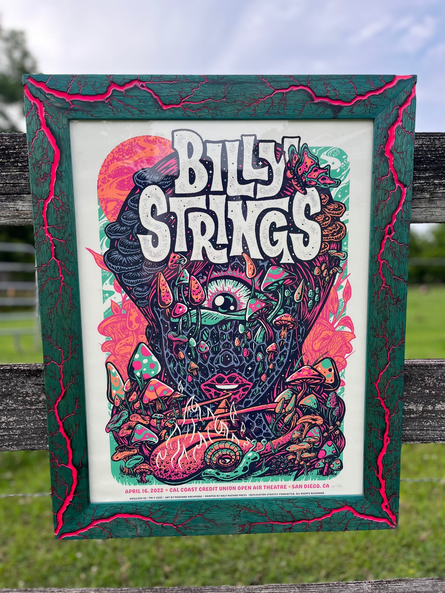 18x24 Blazin’ Billy.     Greenish stained White Limba W/pink. Billy String print included